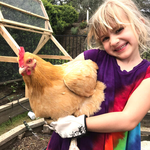 girl in rainbow dress holding a chicken